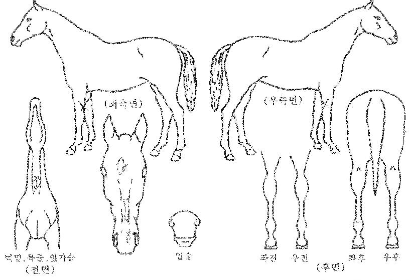 ���ν���Ŭ�� ����,���,�޸�,�λ�,�ٸ��� Ư¡����