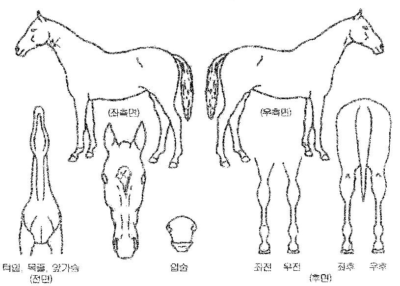 �̽��������� ����,���,�޸�,�λ�,�ٸ��� Ư¡����