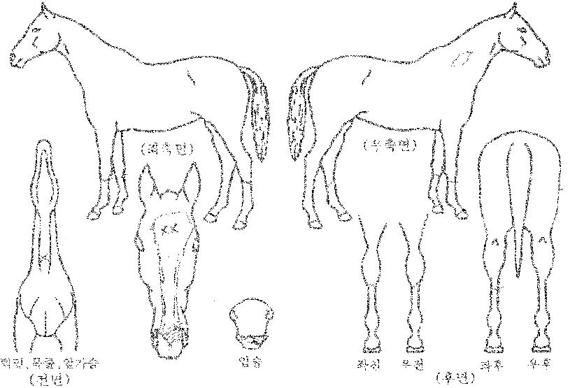 �޴����̽��� ����,���,�޸�,�λ�,�ٸ��� Ư¡����