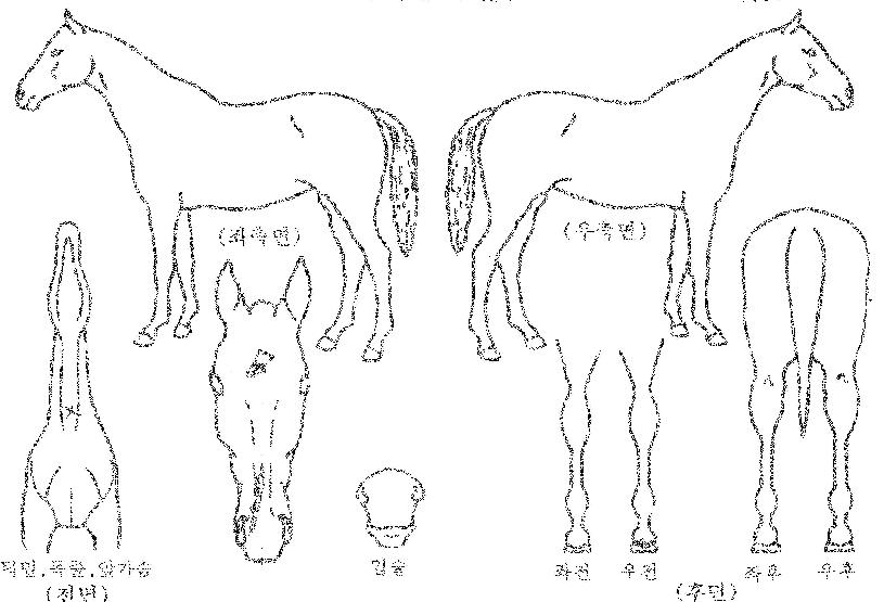 �����ҳ�Ÿ�� ����,���,�޸�,�λ�,�ٸ��� Ư¡����