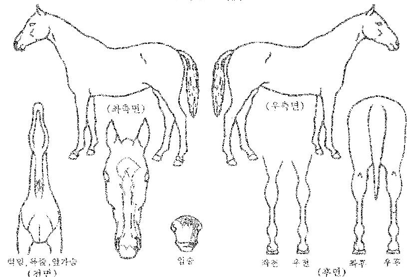 µ¥À̽ºÅ¸ÀÇ Ãø¸é,¿ì¸é,µÞ¸é,µÎ»ó,´Ù¸®ÀÇ Æ¯Â¡µµÇØ