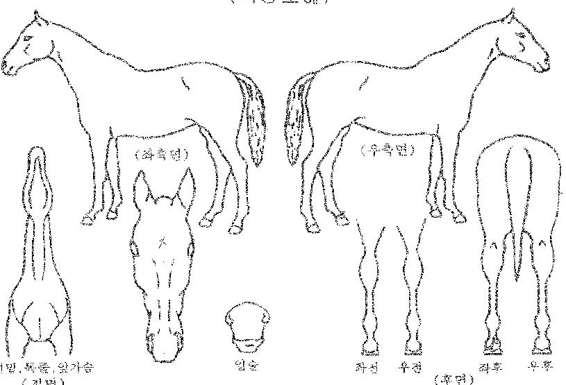 ��ŷ���� ����,���,�޸�,�λ�,�ٸ��� Ư¡����