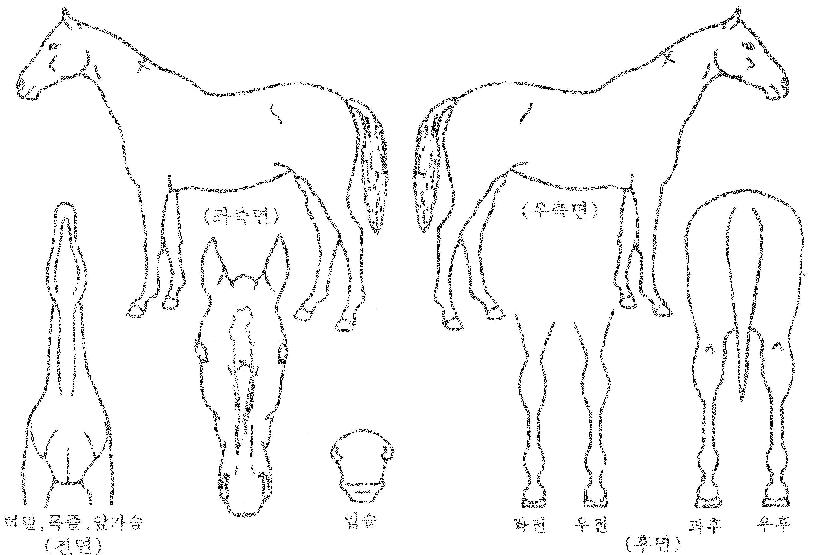 �������� ����,���,�޸�,�λ�,�ٸ��� Ư¡����