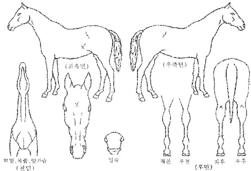 ���̺񿡽����� ����,���,�޸�,�λ�,�ٸ��� Ư¡����