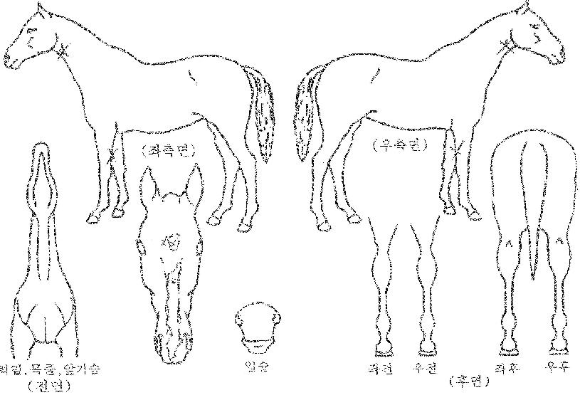 ����Ŀ��� ����,���,�޸�,�λ�,�ٸ��� Ư¡����