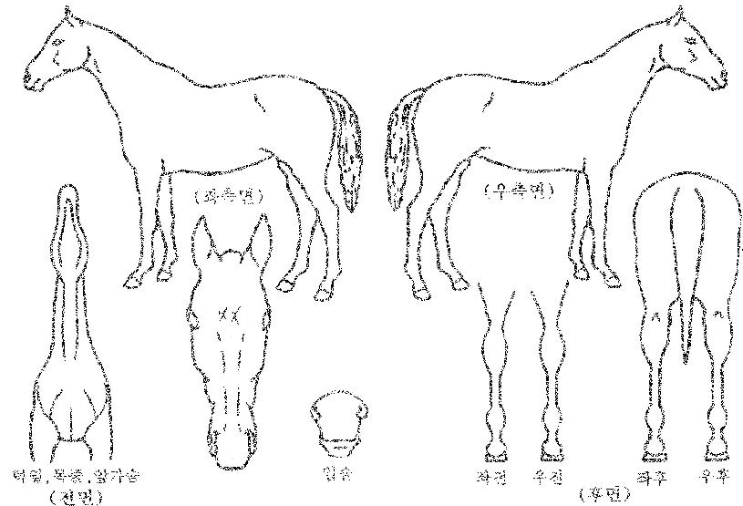 ������ȭ�� ����,���,�޸�,�λ�,�ٸ��� Ư¡����