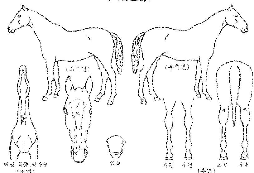 ��������Ÿ��Ÿ�ڸ��� ����,���,�޸�,�λ�,�ٸ��� Ư¡����