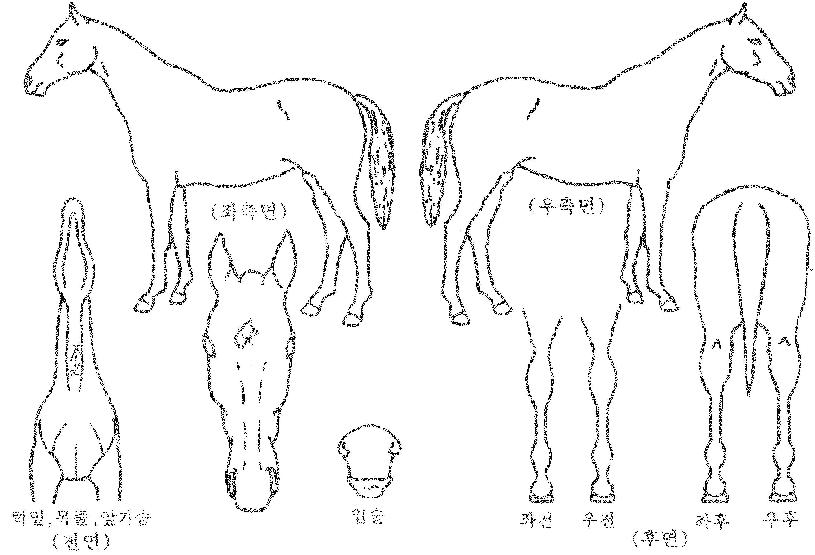 ���������� ����,���,�޸�,�λ�,�ٸ��� Ư¡����