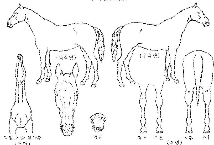 ��ݵ����� ����,���,�޸�,�λ�,�ٸ��� Ư¡����