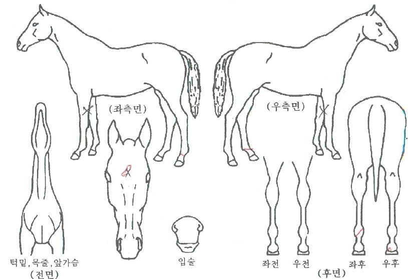 ��ƼǮ���� ����,���,�޸�,�λ�,�ٸ��� Ư¡����