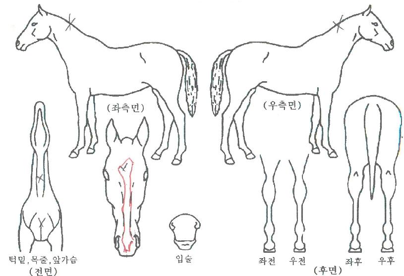 ������ػ����� ����,���,�޸�,�λ�,�ٸ��� Ư¡����