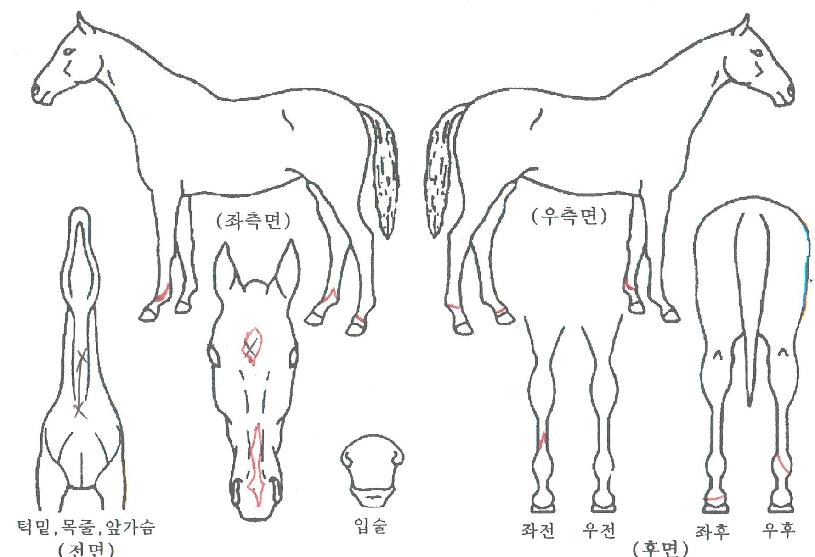 ¼¼»óÀ»°¡Áø³ªÀÇ Ãø¸é,¿ì¸é,µÞ¸é,µÎ»ó,´Ù¸®ÀÇ Æ¯Â¡µµÇØ