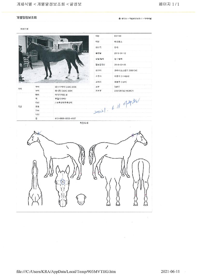 ¹é»êÆ÷½ºÀÇ Ãø¸é,¿ì¸é,µÞ¸é,µÎ»ó,´Ù¸®ÀÇ Æ¯Â¡µµÇØ