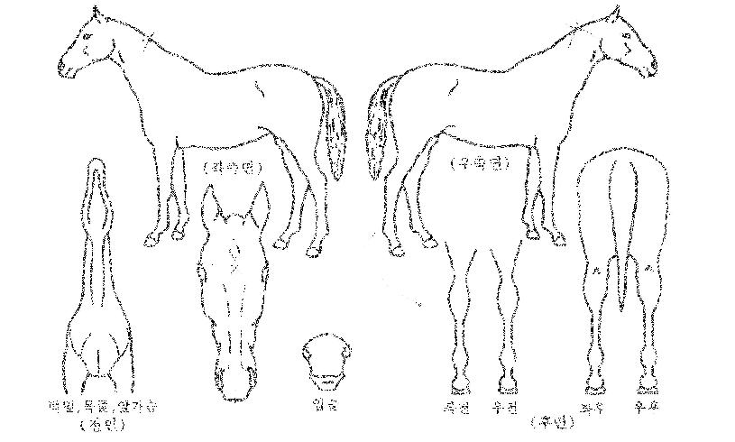 ¿¡ÀÌ¿øÇظÓÀÇ Ãø¸é,¿ì¸é,µÞ¸é,µÎ»ó,´Ù¸®ÀÇ Æ¯Â¡µµÇØ