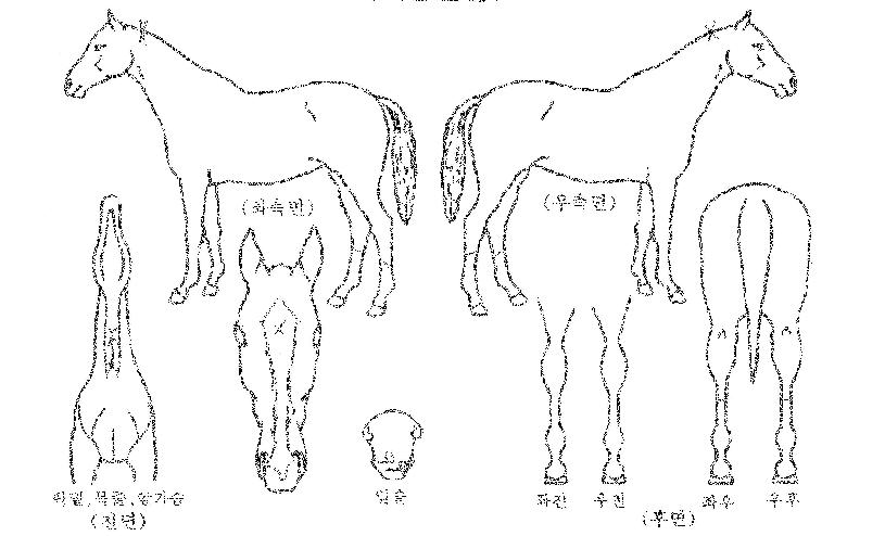 �ͽ�Ʈ��ǻó�� ����,���,�޸�,�λ�,�ٸ��� Ư¡����