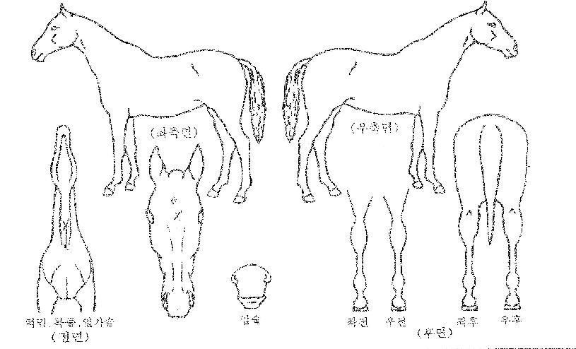 Į�������� ����,���,�޸�,�λ�,�ٸ��� Ư¡����