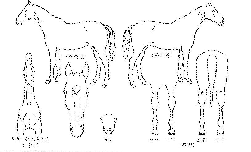 ½ºÇÍÆÄÀ̾îÀÇ Ãø¸é,¿ì¸é,µÞ¸é,µÎ»ó,´Ù¸®ÀÇ Æ¯Â¡µµÇØ