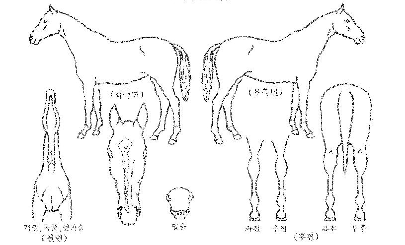 ¹«ÀûºñÆ®ÀÇ Ãø¸é,¿ì¸é,µÞ¸é,µÎ»ó,´Ù¸®ÀÇ Æ¯Â¡µµÇØ