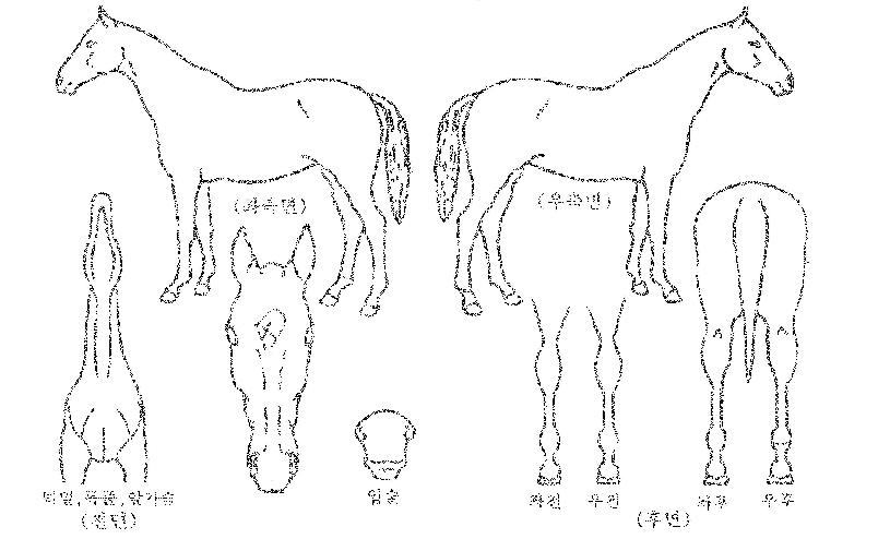 ���ǽ����� ����,���,�޸�,�λ�,�ٸ��� Ư¡����