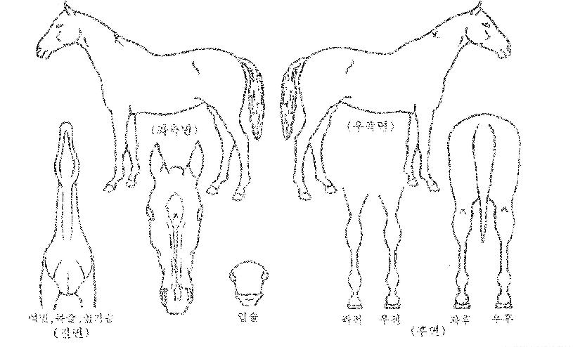 ��Ƽ������ ����,���,�޸�,�λ�,�ٸ��� Ư¡����