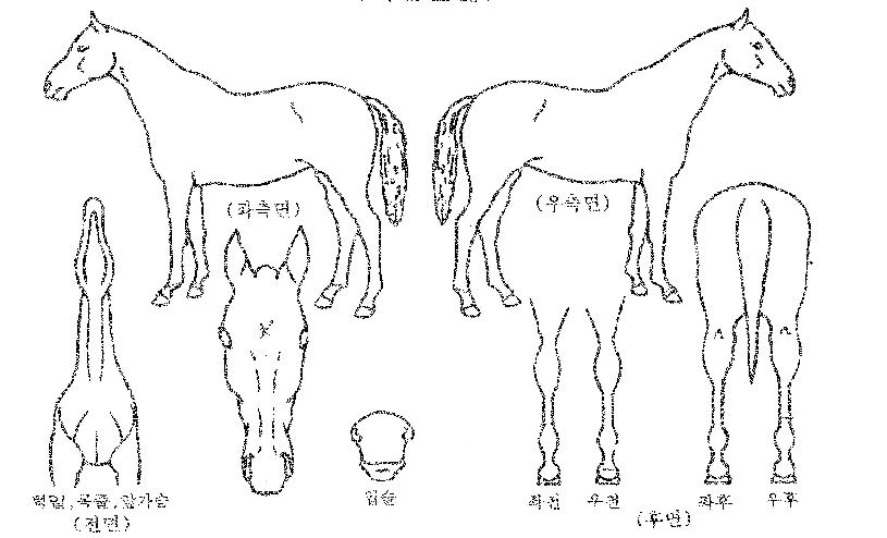 ��������� ����,���,�޸�,�λ�,�ٸ��� Ư¡����