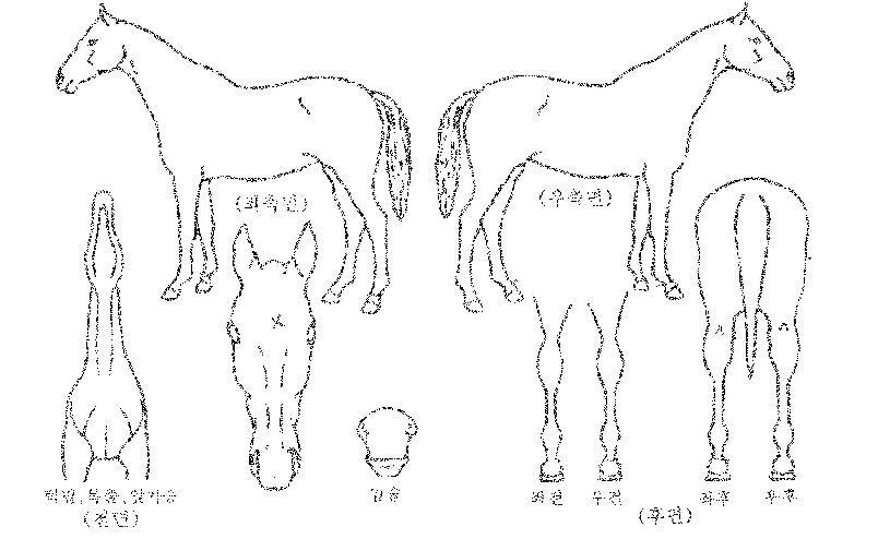 Ÿ��Ʋ������ ����,���,�޸�,�λ�,�ٸ��� Ư¡����