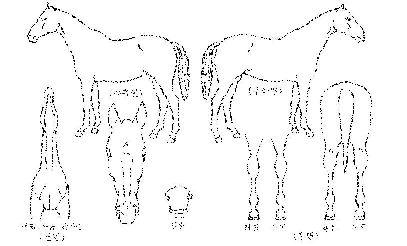 ���������� ����,���,�޸�,�λ�,�ٸ��� Ư¡����