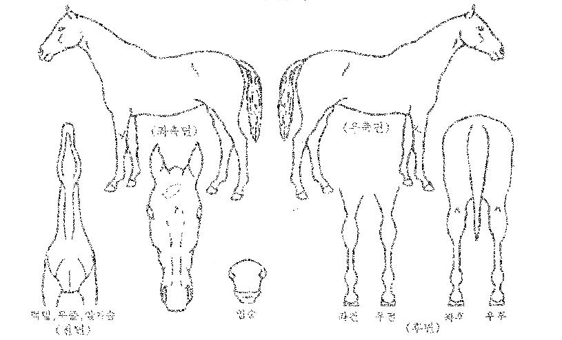 ��ε������ ����,���,�޸�,�λ�,�ٸ��� Ư¡����