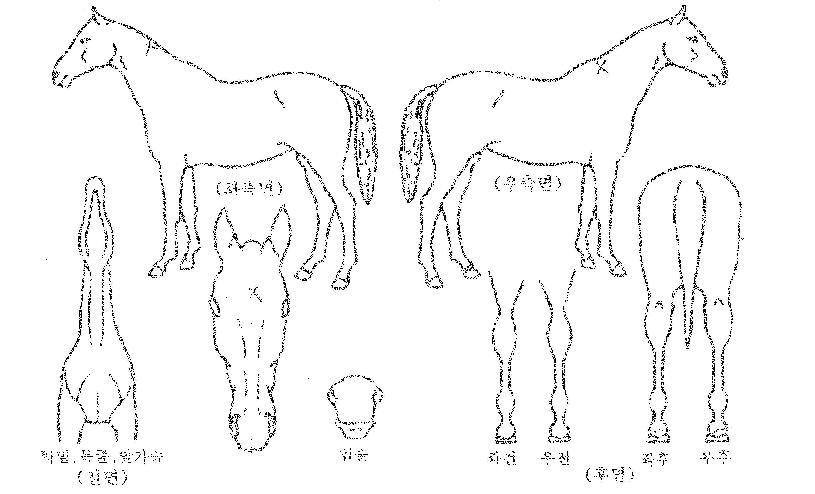 �̽�ũ���� ����,���,�޸�,�λ�,�ٸ��� Ư¡����