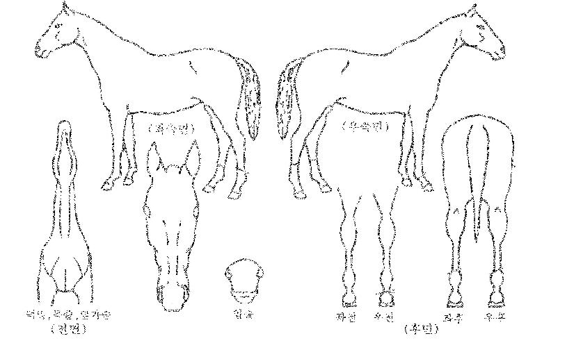 ���̽������� ����,���,�޸�,�λ�,�ٸ��� Ư¡����