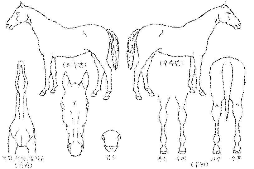 ±×·£µåȯȣÀÇ Ãø¸é,¿ì¸é,µÞ¸é,µÎ»ó,´Ù¸®ÀÇ Æ¯Â¡µµÇØ