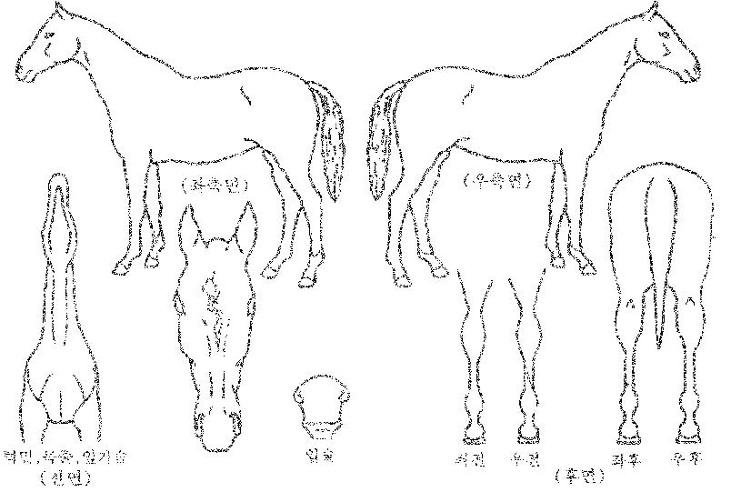 Á¤¹®Á¦Å°ÀÇ Ãø¸é,¿ì¸é,µÞ¸é,µÎ»ó,´Ù¸®ÀÇ Æ¯Â¡µµÇØ