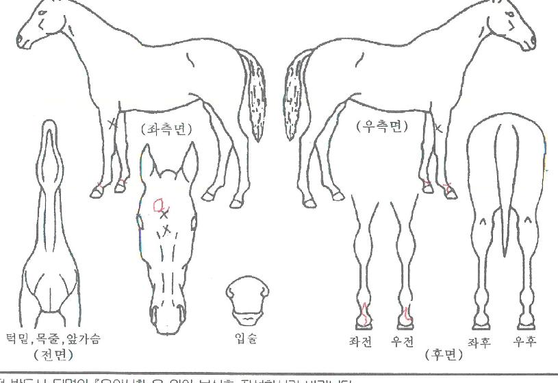 Ž������� ����,���,�޸�,�λ�,�ٸ��� Ư¡����