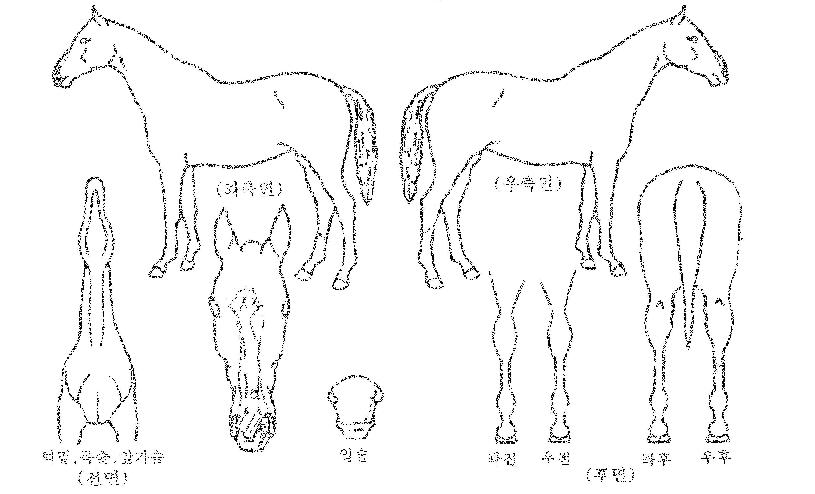 �������� ����,���,�޸�,�λ�,�ٸ��� Ư¡����