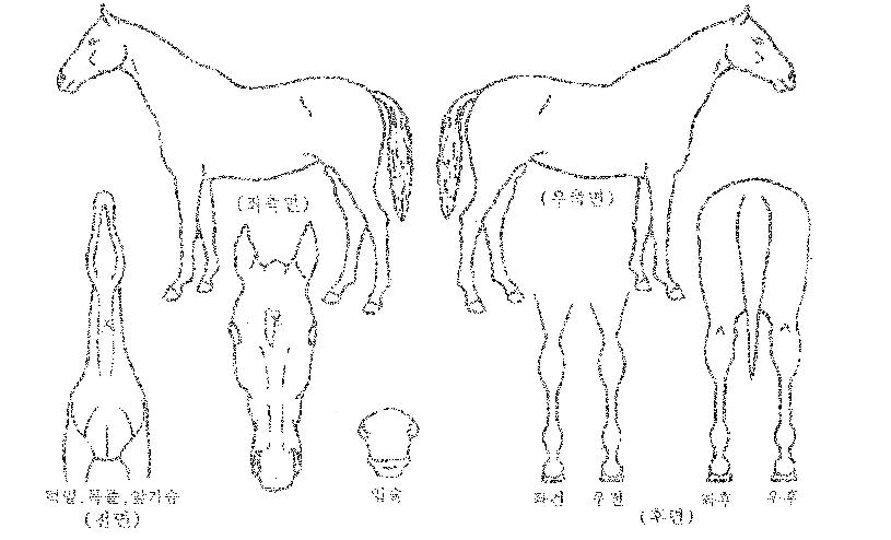 Ž���ϴ��� ����,���,�޸�,�λ�,�ٸ��� Ư¡����