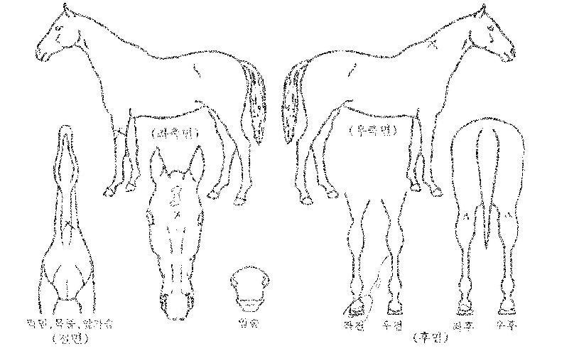 ����ĭ�� ����,���,�޸�,�λ�,�ٸ��� Ư¡����