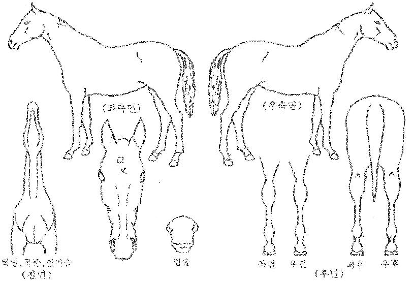 û�������� ����,���,�޸�,�λ�,�ٸ��� Ư¡����