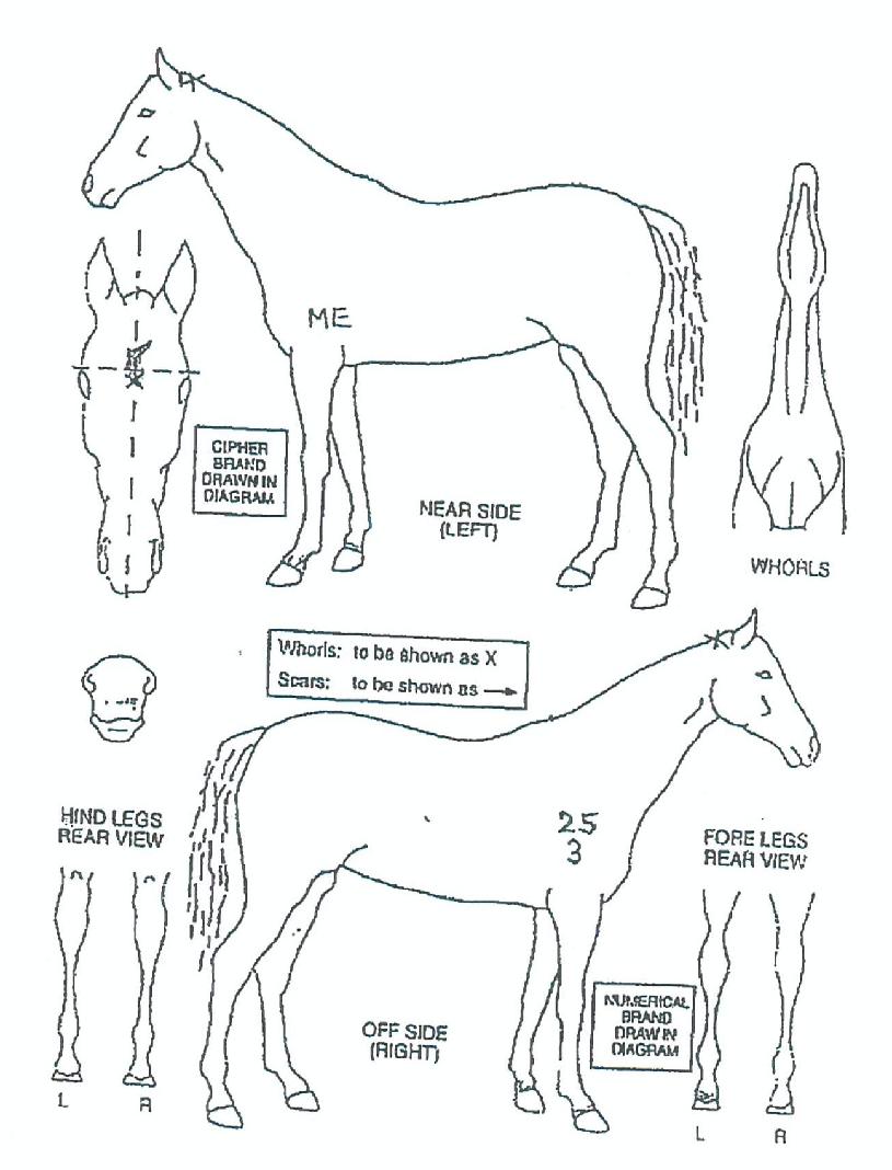 ����ü���� ����,���,�޸�,�λ�,�ٸ��� Ư¡����