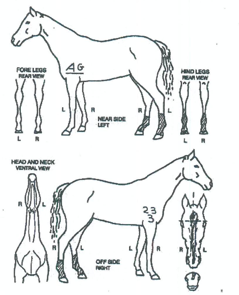 �����ͽ������� ����,���,�޸�,�λ�,�ٸ��� Ư¡����