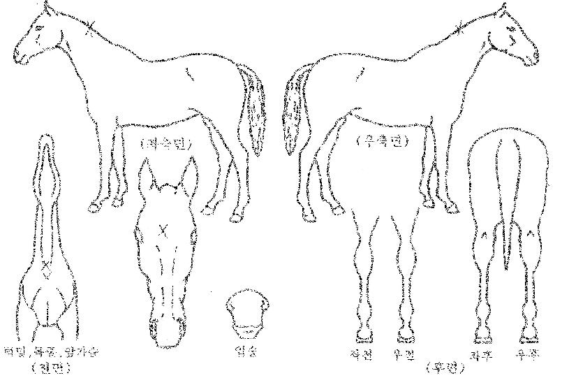 â��������� ����,���,�޸�,�λ�,�ٸ��� Ư¡����