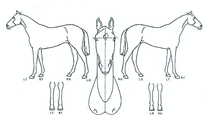 ���̽������� ����,���,�޸�,�λ�,�ٸ��� Ư¡����