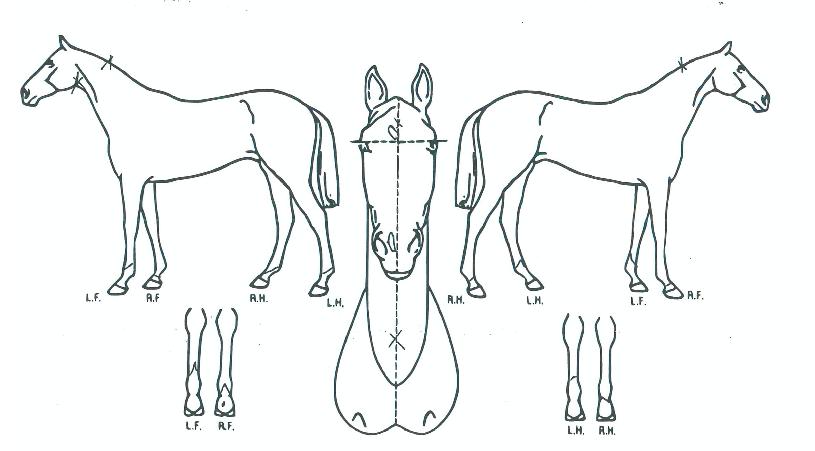 ����Ű������ ����,���,�޸�,�λ�,�ٸ��� Ư¡����