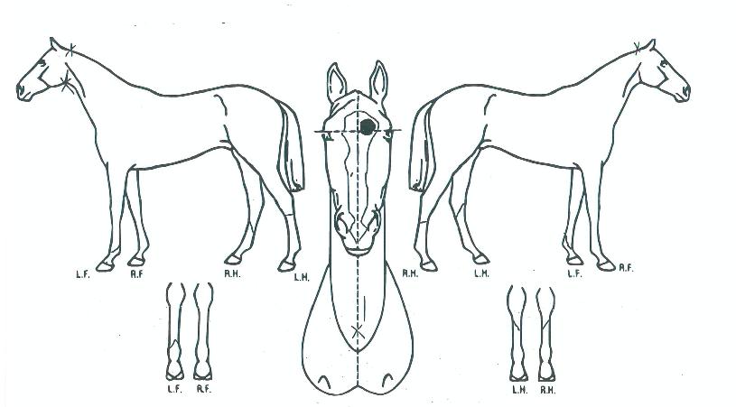 ���̽������� ����,���,�޸�,�λ�,�ٸ��� Ư¡����