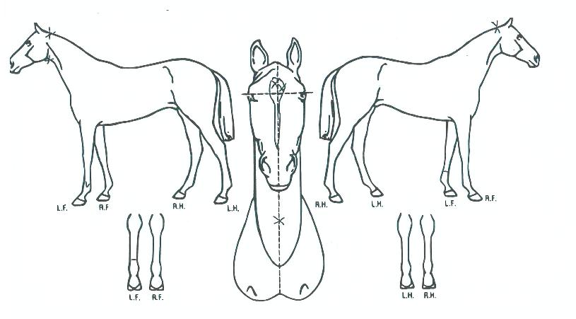 �����Լ��� ����,���,�޸�,�λ�,�ٸ��� Ư¡����