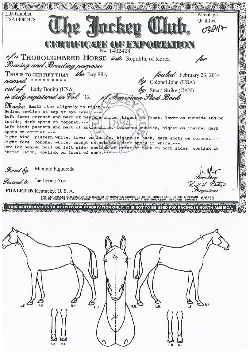 Åõ°Ô´õÇã±×ÀÇ Ãø¸é,¿ì¸é,µÞ¸é,µÎ»ó,´Ù¸®ÀÇ Æ¯Â¡µµÇØ