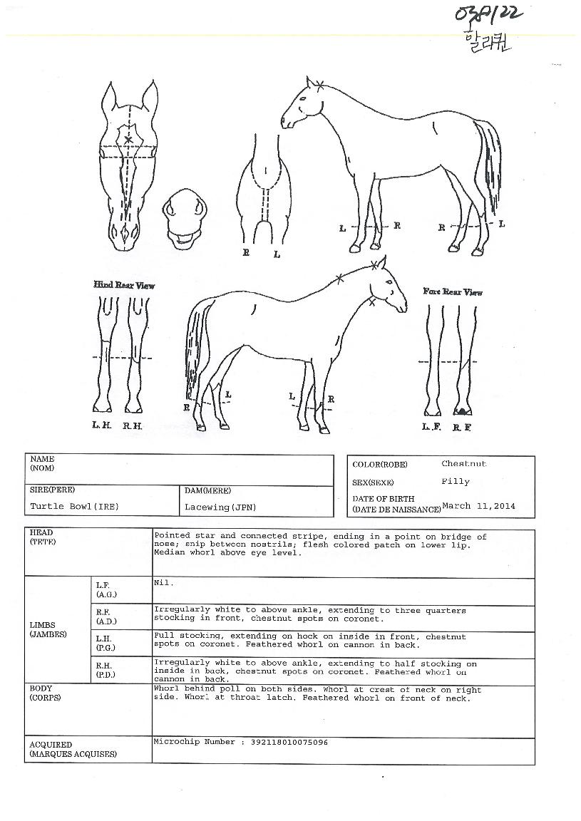 �Ҹ����� ����,���,�޸�,�λ�,�ٸ��� Ư¡����