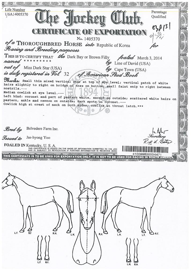 ÀÌ¿ùÀÇ Ãø¸é,¿ì¸é,µÞ¸é,µÎ»ó,´Ù¸®ÀÇ Æ¯Â¡µµÇØ