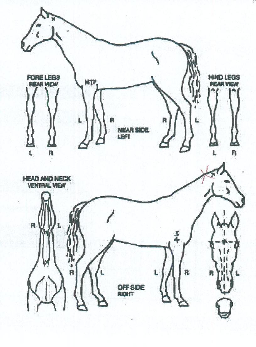 ������̺���� ����,���,�޸�,�λ�,�ٸ��� Ư¡����