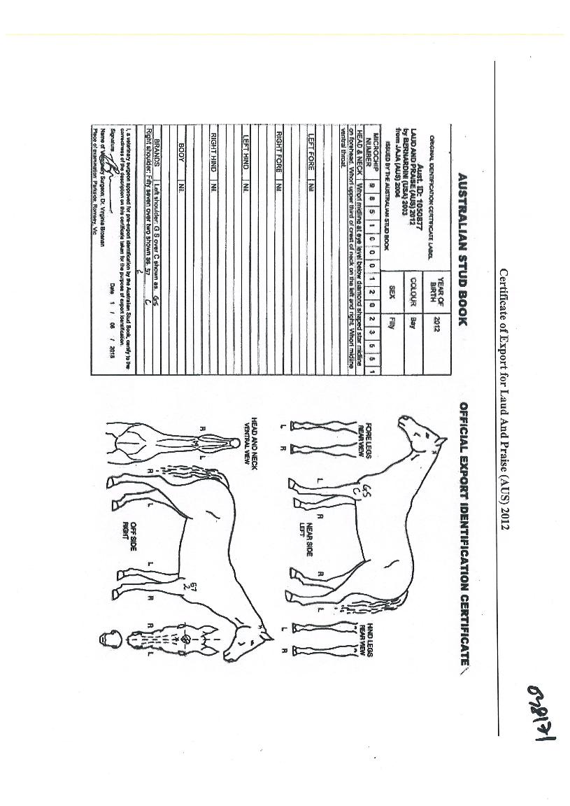 �ε������������� ����,���,�޸�,�λ�,�ٸ��� Ư¡����