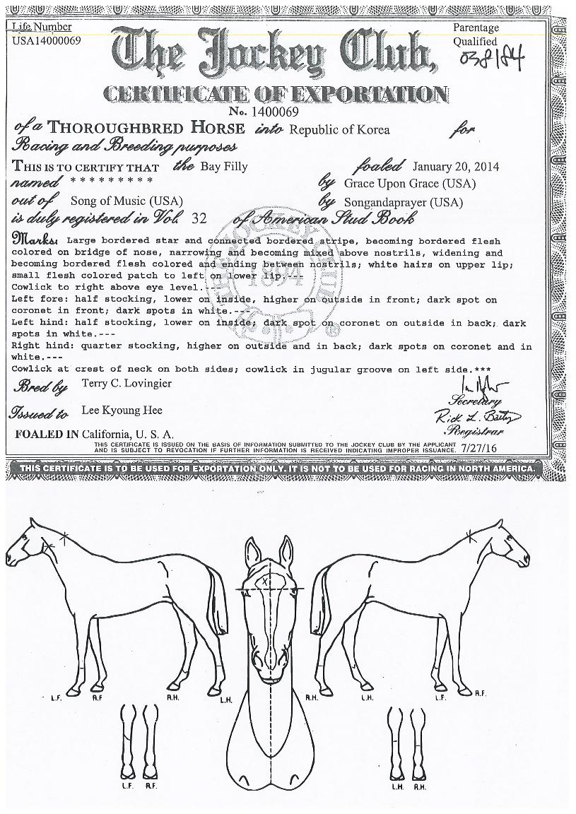 ���𿡰������� ����,���,�޸�,�λ�,�ٸ��� Ư¡����